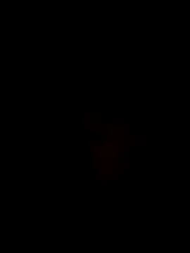 Snapshot of Ner0924_N chatting on 12/02/24, 04:31 Ner0924 N online show from 12/02/24, 04:31