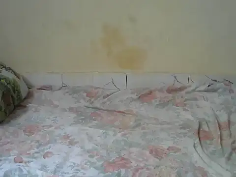 Zenath  online show from 02/27/26, 08:58