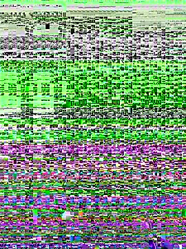 NDith online show from 12/02/25, 05:02