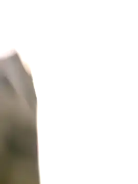 littlehornysons online show from 10/06/25, 02:09