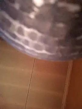 Snapshot of SashaahXXX chatting on 02/12/26, 03:40 SashaahXXX online show from 02/12/26, 03:40