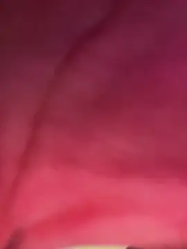 izanmiller2001 online show from 10/08/25, 07:33