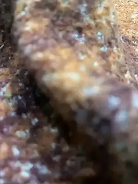 king cum  online show from 02/13/25, 10:44