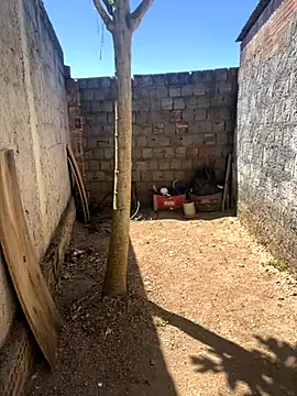 king cum  online show from 11/05/25, 12:05