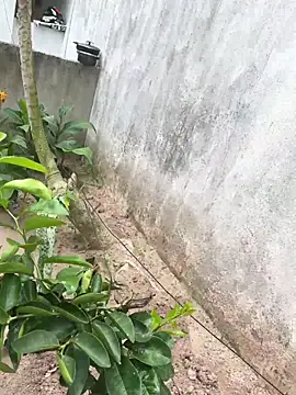 king cum  online show from 02/18/26, 02:24