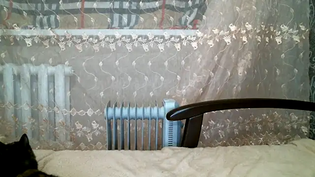 DennisXCaroll online show from 02/16/25, 06:32