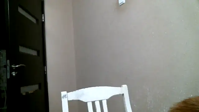 DennisXCaroll online show from 02/18/25, 12:04