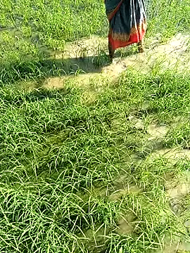 Snapshot of hairipussy2 chatting on 02/07/25, 03:55 hairipussy2 online show from 02/07/25, 03:55