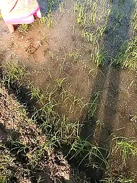 Snapshot of hairipussy2 chatting on 02/07/25, 10:29 hairipussy2 online show from 02/07/25, 10:29