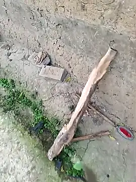 Snapshot of hairipussy2 chatting on 03/04/25, 12:50 hairipussy2 online show from 03/04/25, 12:50