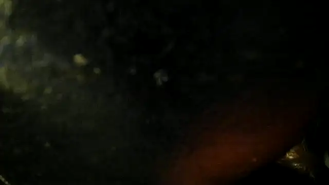 Snapshot of leatherz69 chatting on 05/22/26, 02:40 leatherz69 online show from 05/22/26, 02:40