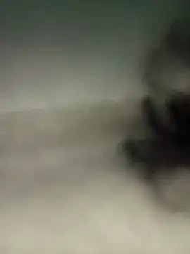 alexmoragomez online show from 04/20/26, 12:46