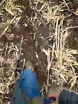 murokkk31 online show from 01/05/25, 06:46