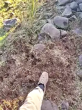 murokkk31 online show from 12/16/25, 12:21