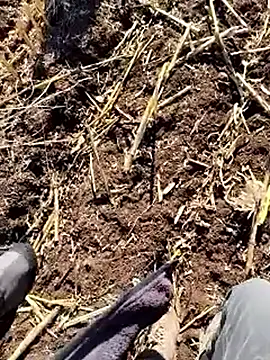 murokkk31 online show from 12/18/25, 09:37