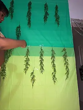 Blazerina online show from 04/17/26, 12:13