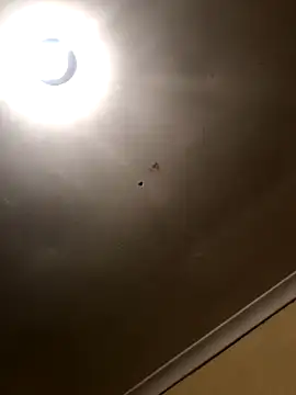 SmallGoodNut online show from 11/15/25, 04:10