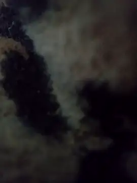 hotie7tvn online show from 10/10/25, 01:04