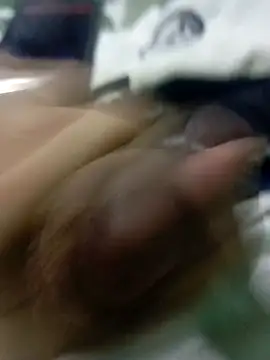 hotie7tvn online show from 11/08/25, 08:07