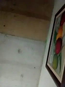 Alonsomadeira online show from 04/02/26, 08:23