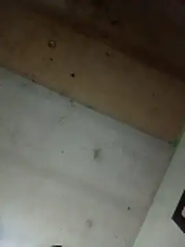 Alonsomadeira online show from 04/10/26, 09:25