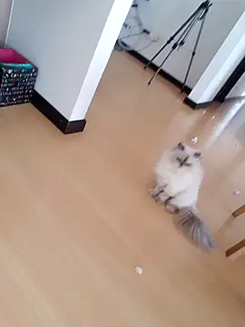  monicab online show from 09/27/25, 02:55