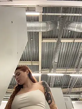 Accole online show from 02/17/26, 08:11