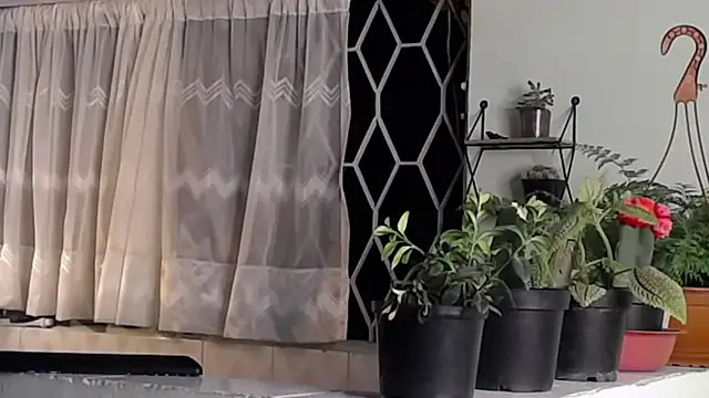 peyton golden1 online show from 01/16/25, 06:35