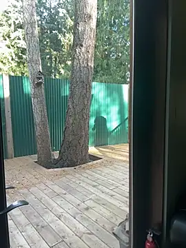 twist699 online show from 11/08/25, 06:40