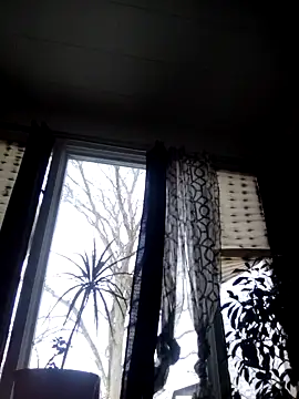 otterlover123 online show from 12/05/24, 06:55