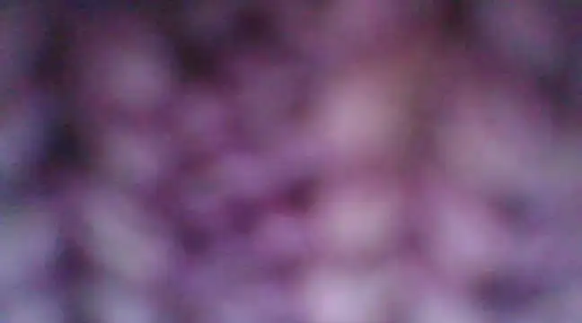 mia cooper 24 online show from 12/30/24, 07:00