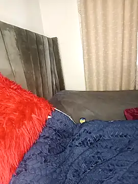 Golden diver online show from 11/24/25, 08:14