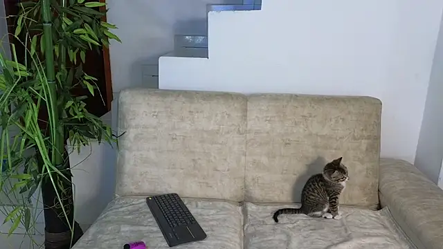 Lorenne Miller online show from 10/20/25, 03:29