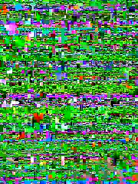 bad-boy-2002 online show from 10/05/25, 02:37