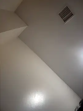 Wildherb244 online show from 12/03/24, 10:29