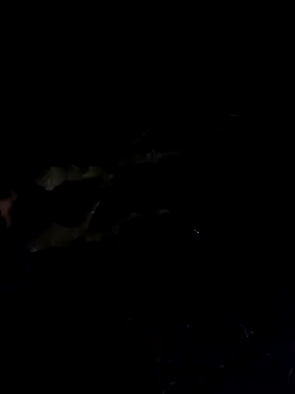 Wildherb244 online show from 12/04/24, 01:36