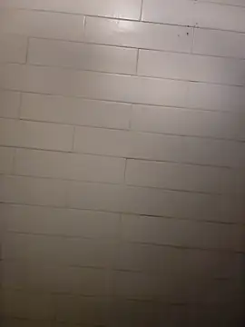 Wildherb244 online show from 12/21/24, 02:26