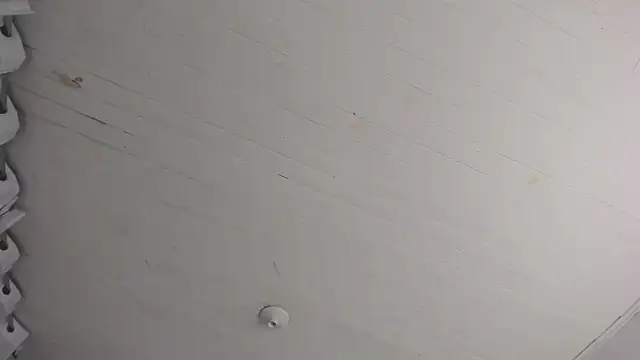 TiffanyWright online show from 11/29/25, 10:40