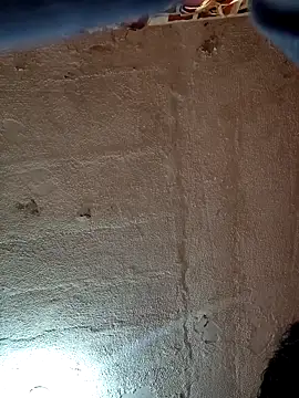 VL25DN26 online show from 02/11/26, 09:42