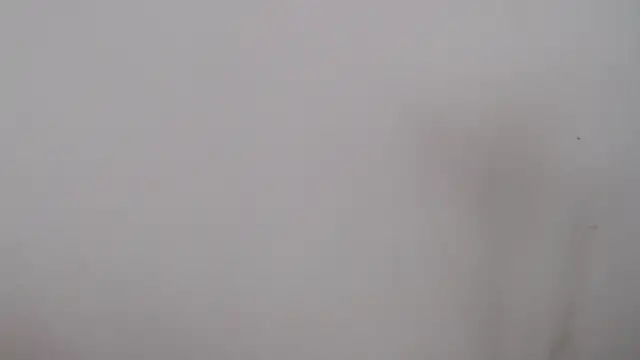 Snapshot of leoytessa_10 chatting on 12/05/24, 09:17 leoytessa 10 online show from 12/05/24, 09:17