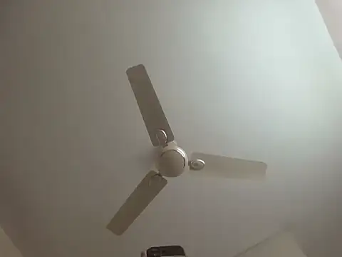 arjun 077 online show from 11/08/25, 06:07