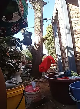 amarrabrown2024 online show from 09/19/25, 06:04