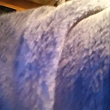 amarrabrown2024 online show from 10/15/25, 06:46