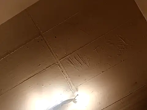 Timbojan28 online show from 03/27/26, 11:48