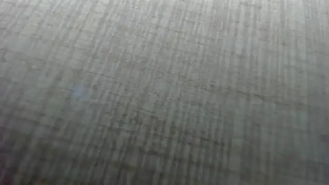 AishaRouhi online show from 02/10/26, 05:11