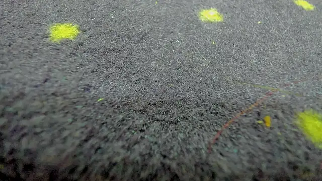 AishaRouhi online show from 03/21/26, 08:19