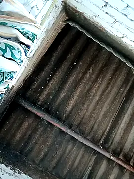 Lukas strong online show from 10/07/25, 06:38