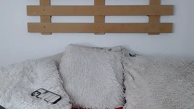 Steev Novoa online show from 01/26/25, 06:28