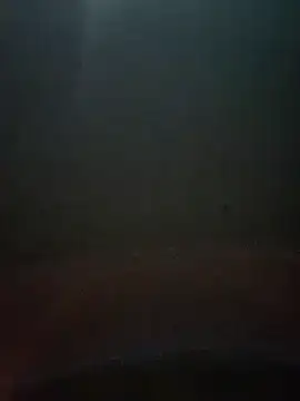 Snapshot of cumshotboy01 chatting on 12/16/24, 03:54 cumshotboy01 online show from 12/16/24, 03:54