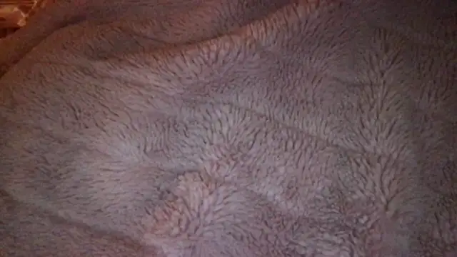 loveofbea online show from 04/09/26, 06:19